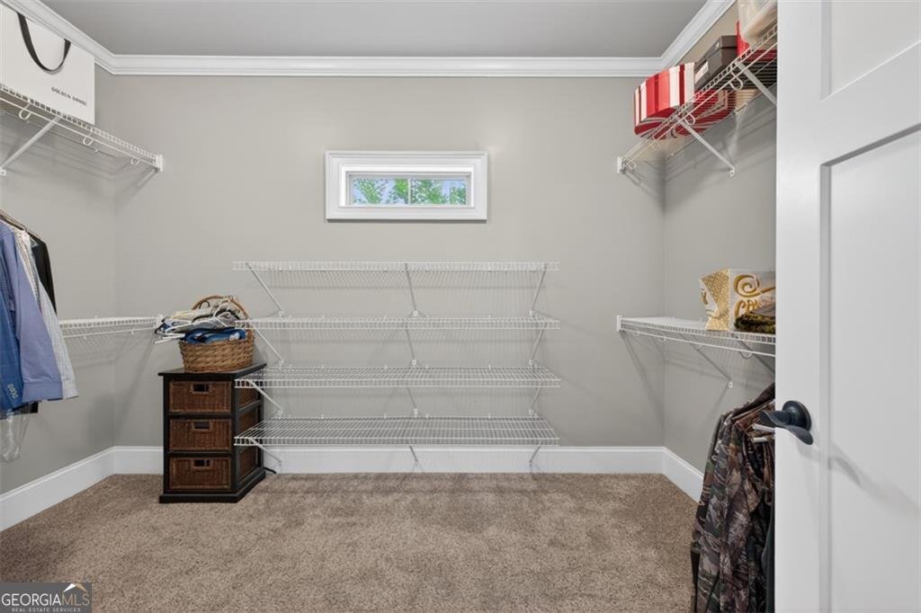 436 Thunder Road Buford - Photo 38