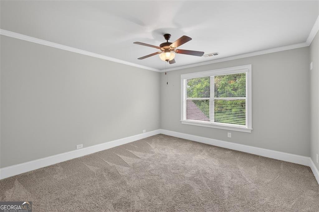 436 Thunder Road Buford - Photo 41