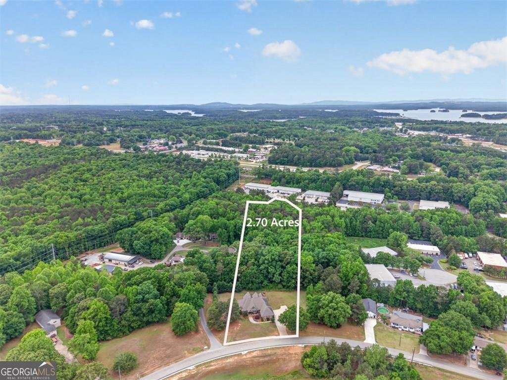 436 Thunder Road Buford - Photo 59
