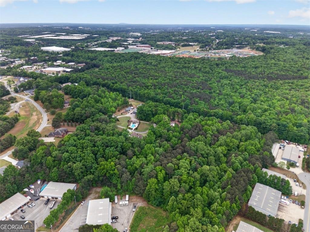 436 Thunder Road Buford - Photo 63