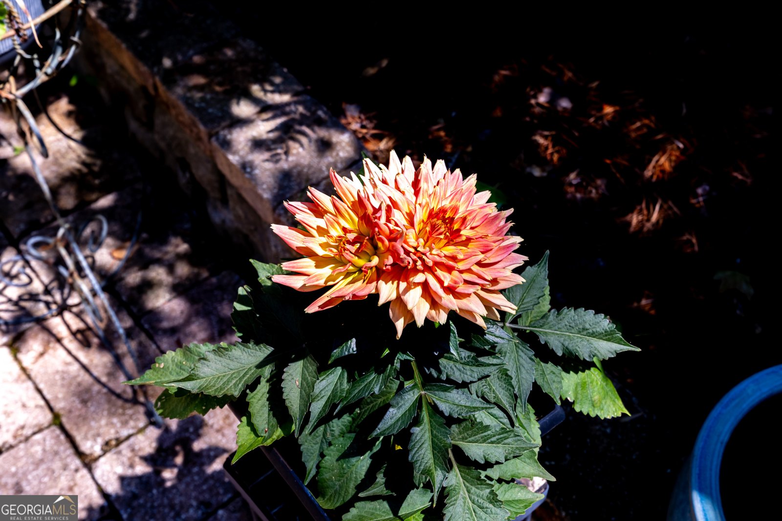 32 Dandelion Cove Sparta - Photo 41