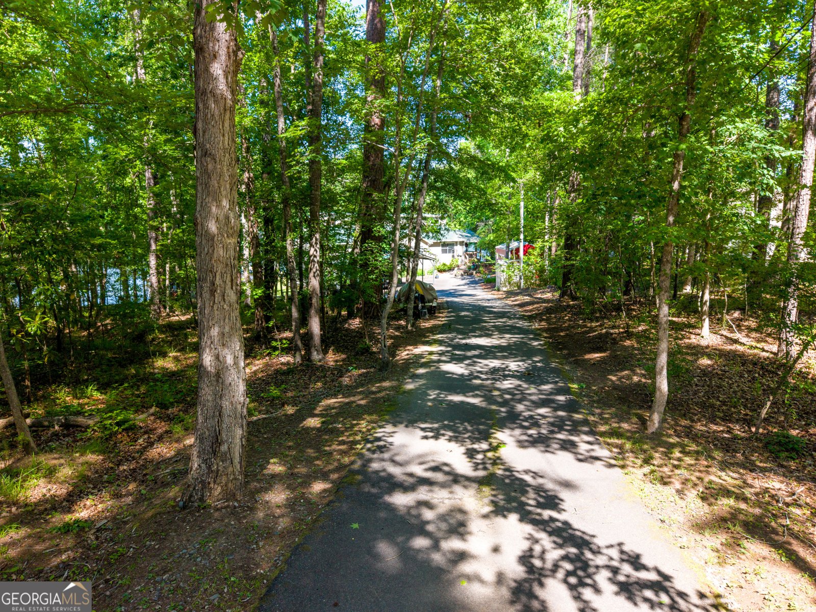 32 Dandelion Cove Sparta - Photo 65