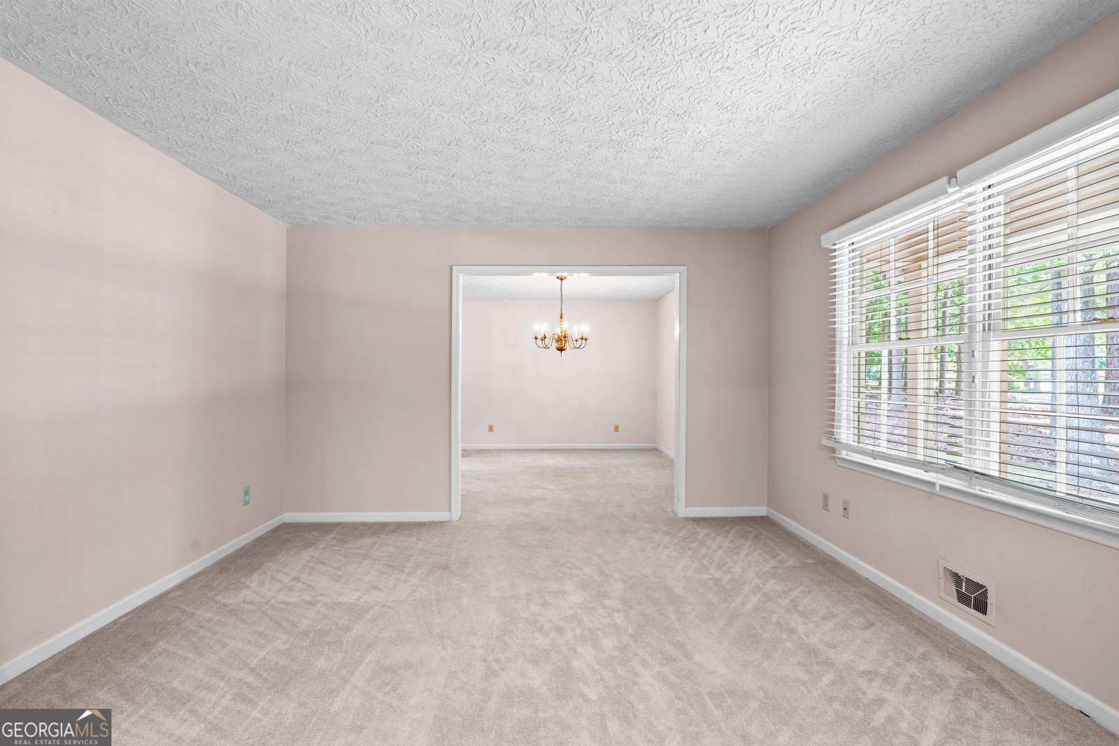 250 Devilla Trace Fayetteville - Photo 10