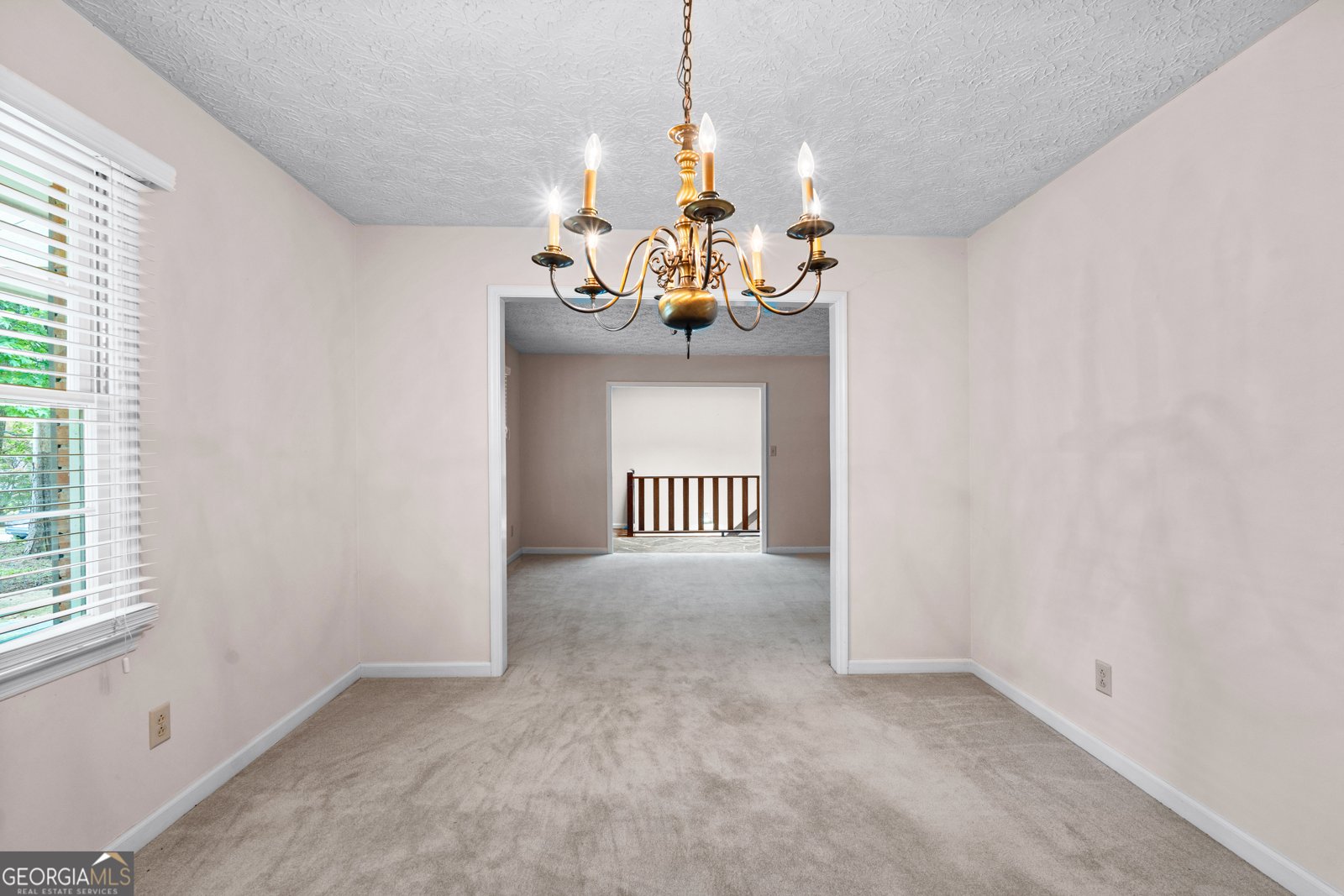 250 Devilla Trace Fayetteville - Photo 13