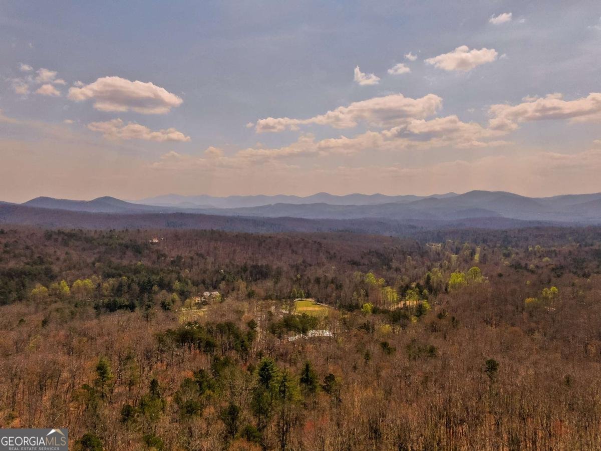 268 Oak Ledge Road Morganton - Photo 39