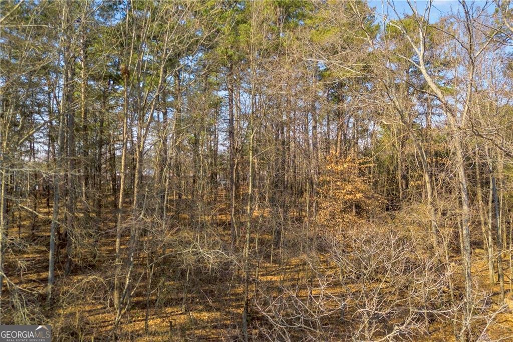 3430 Camp Branch Road Buford - Photo 22