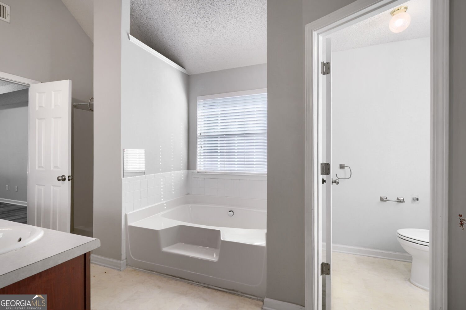 4260 Ivy Fork Drive Loganville - Photo 45
