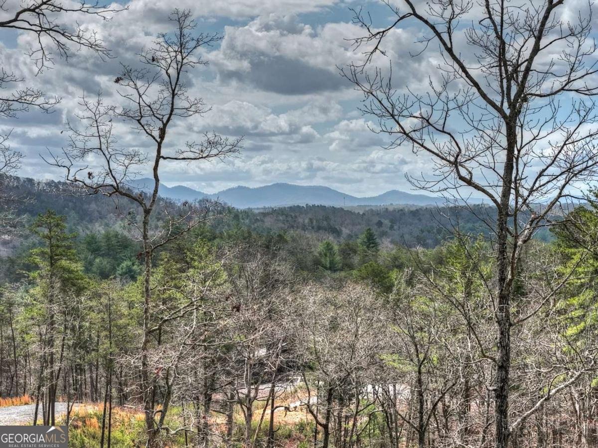 386 Mountain Laurel Ridge Mineral Bluff - Photo 10