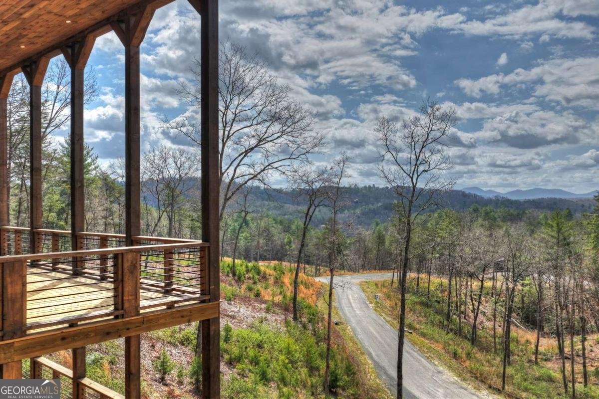 386 Mountain Laurel Ridge Mineral Bluff - Photo 11