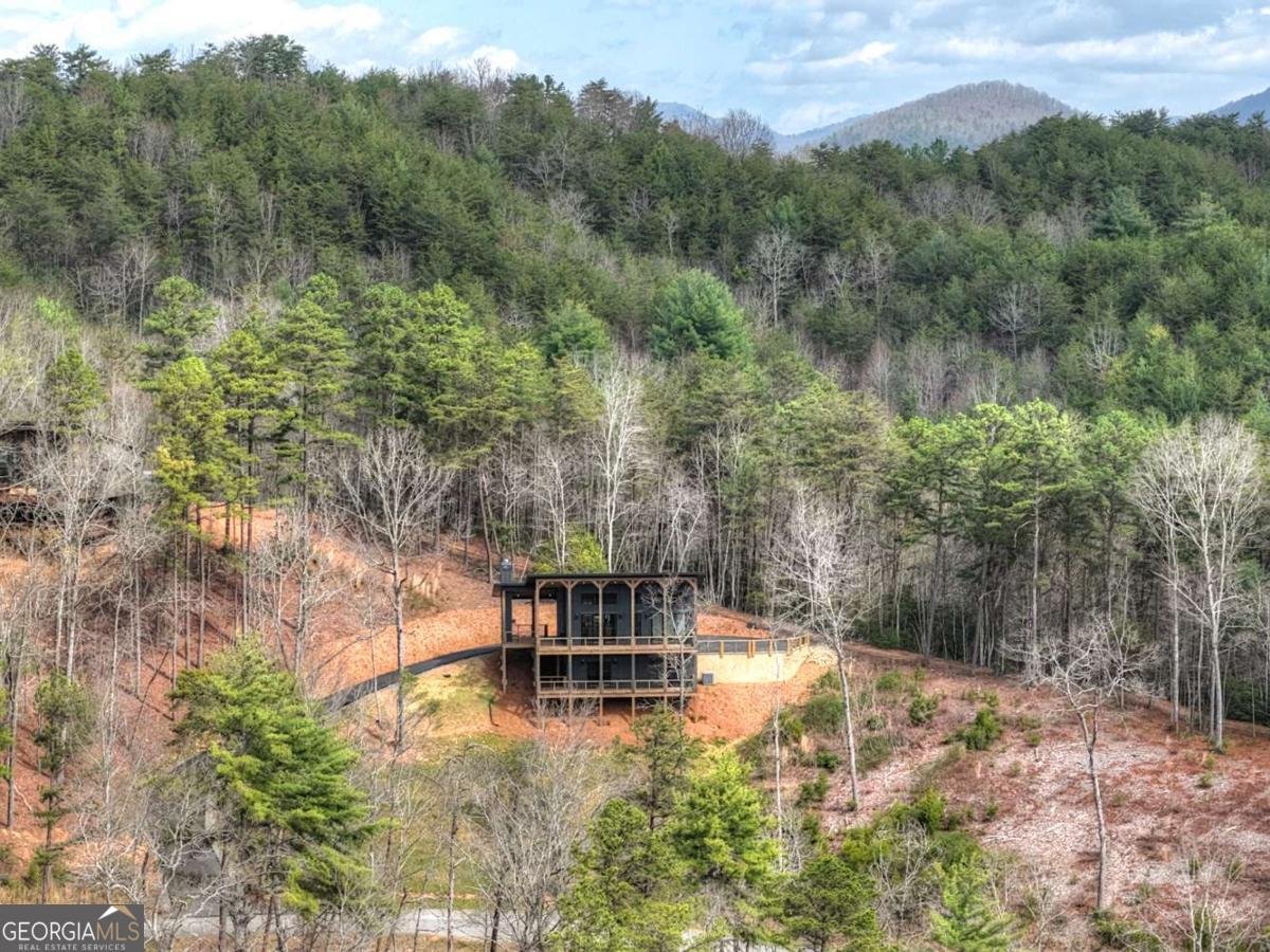 386 Mountain Laurel Ridge Mineral Bluff - Photo 50