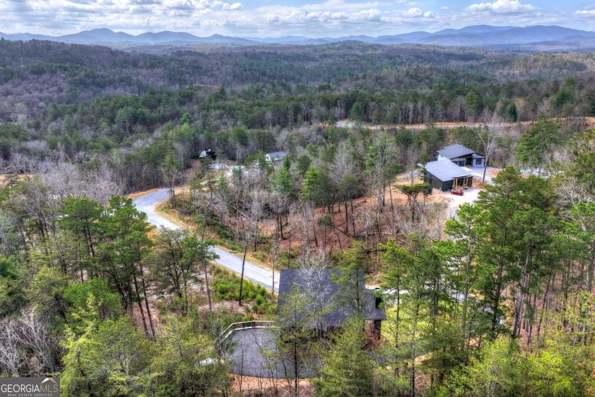 386 Mountain Laurel Ridge Mineral Bluff - Photo 55