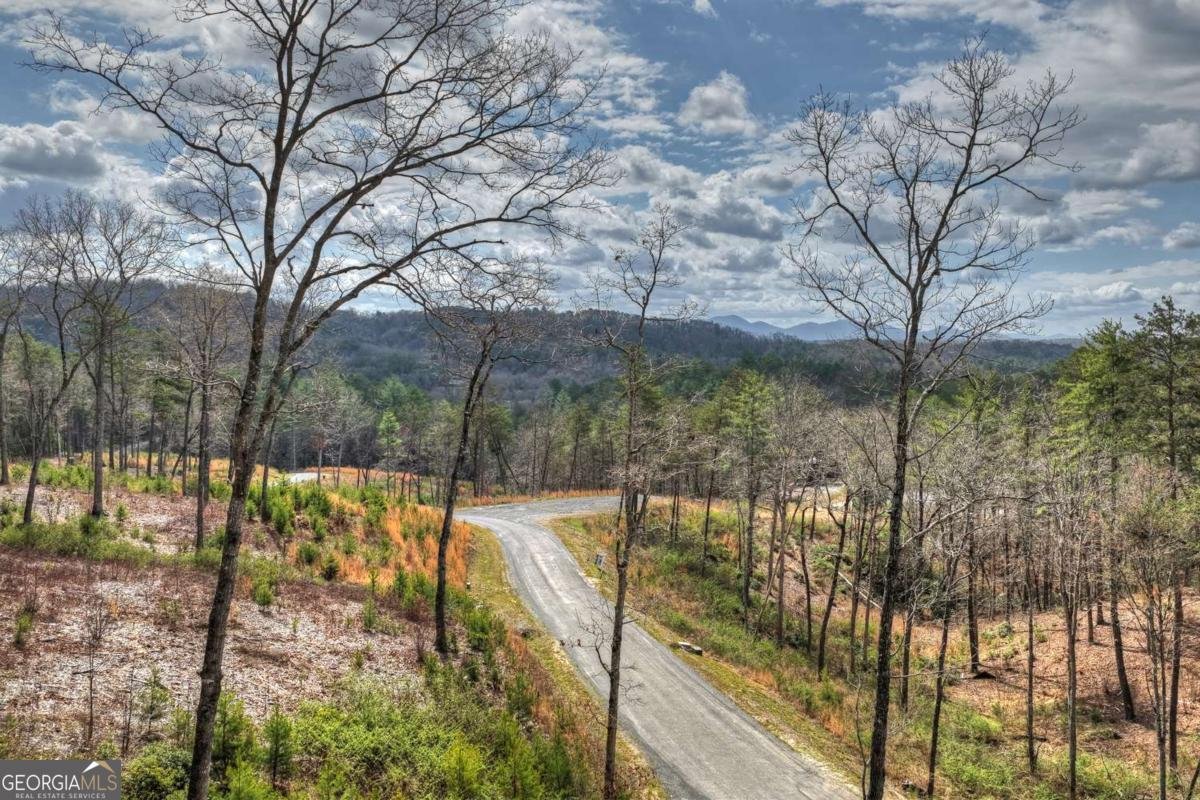 386 Mountain Laurel Ridge Mineral Bluff - Photo 56