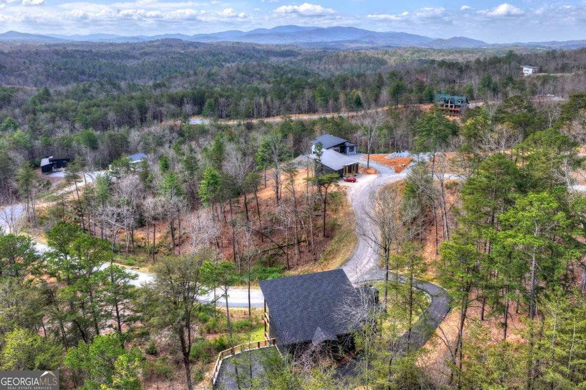 386 Mountain Laurel Ridge Mineral Bluff - Photo 57