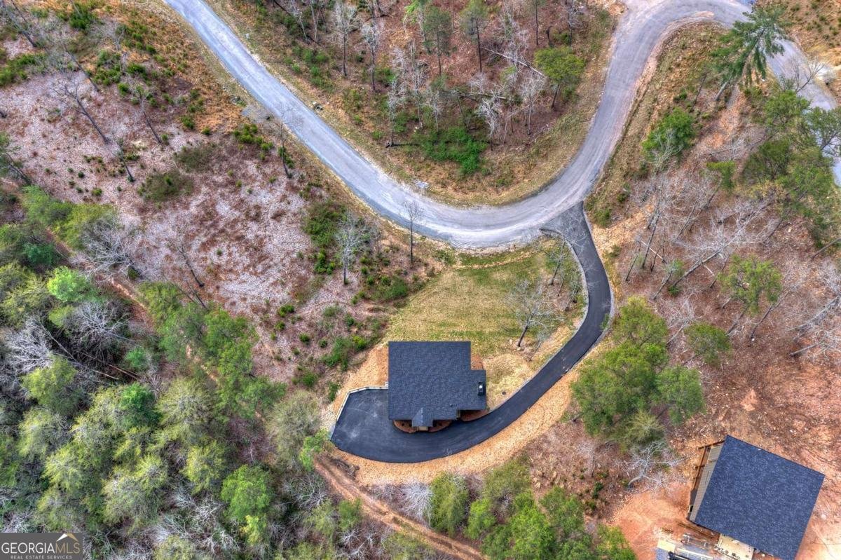 386 Mountain Laurel Ridge Mineral Bluff - Photo 59