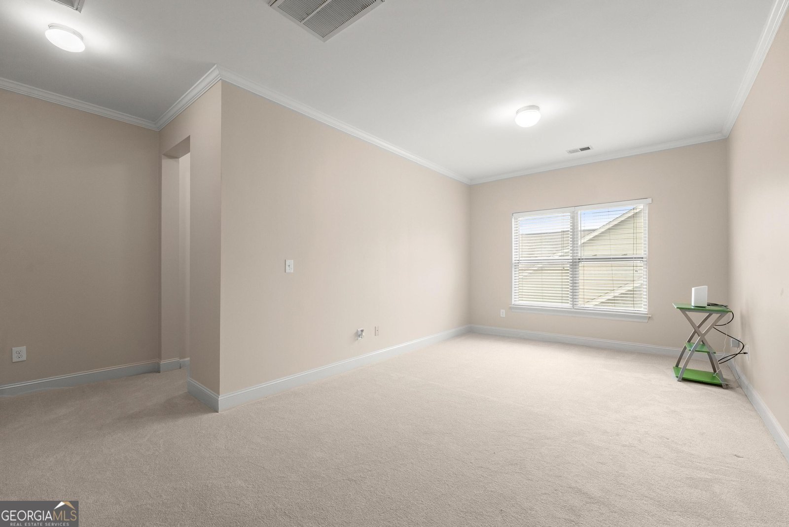 1240 Rocky Shoals Lane Suwanee - Photo 30
