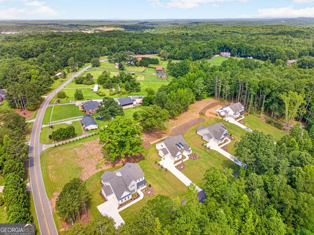 8145 Heardsville Court Cumming - Photo 48