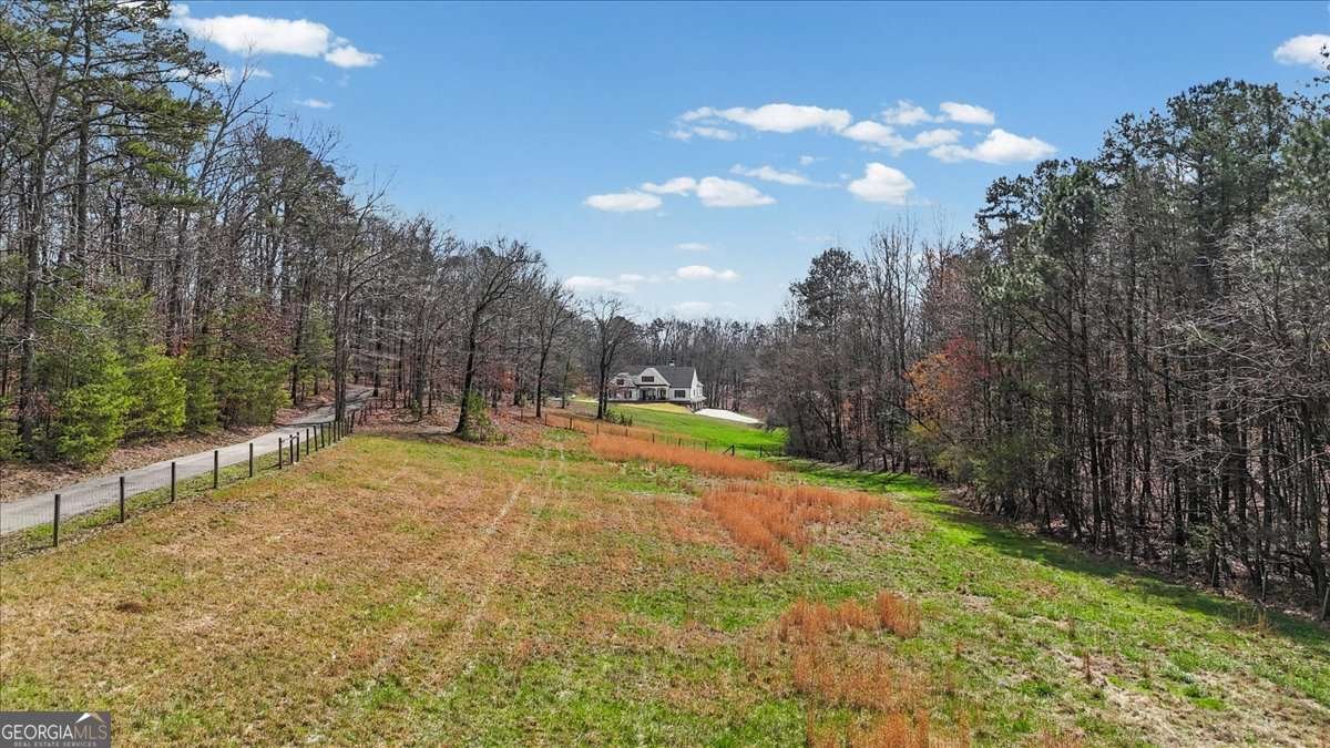 395 Heard Road Canton - Photo 87