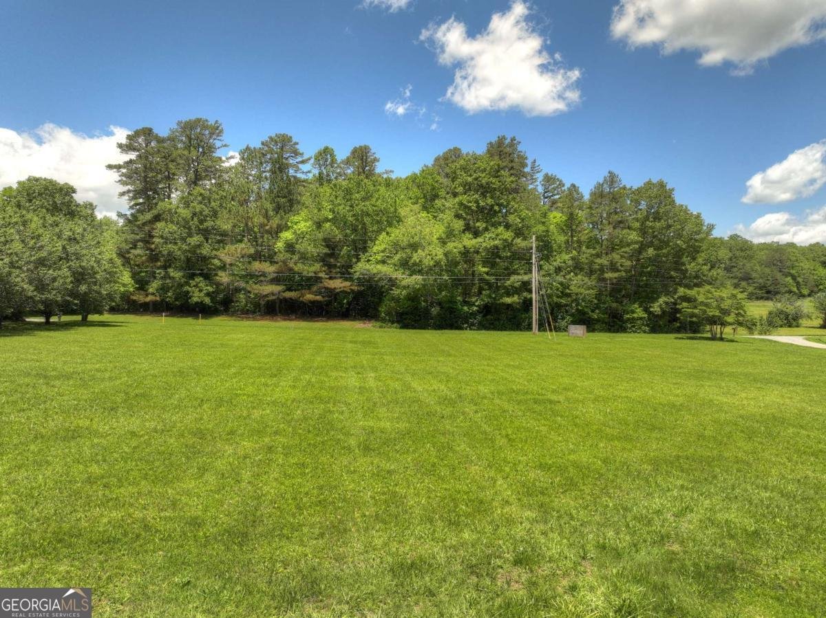 3181 Sugar Creek Road Blue Ridge - Photo 60