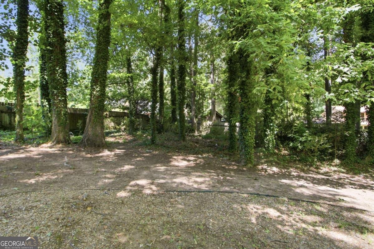103 Creek Bed Court Peachtree City - Photo 38