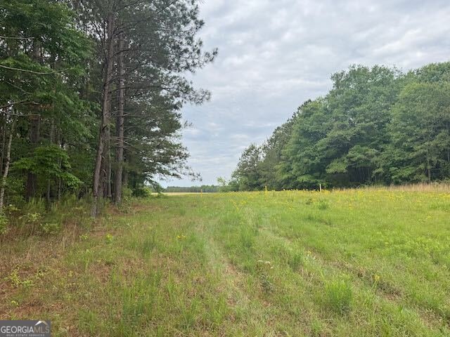 10661 Ga Highway 15 Warthen - Photo 22