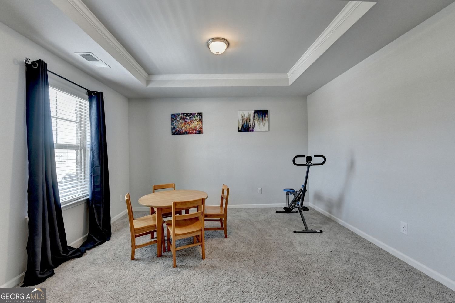 2741 Dolce Road Dacula - Photo 41