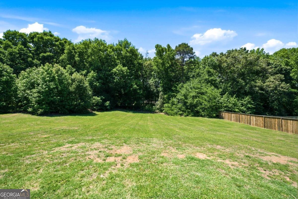 241 Webb Meadows Drive Jefferson - Photo 30