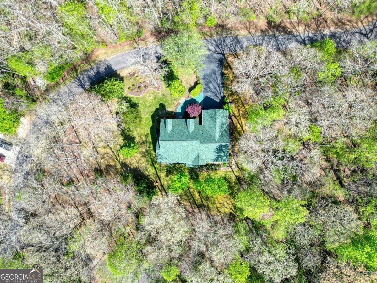 1514 Smithfield Lane Young Harris - Photo 44