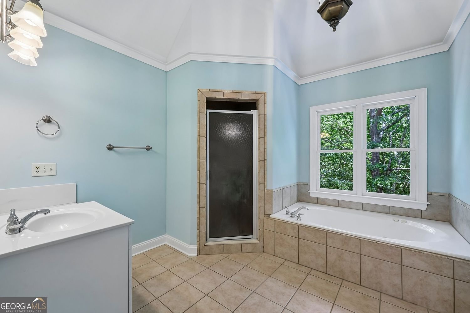 4325 Little Falls Drive Cumming - Photo 29