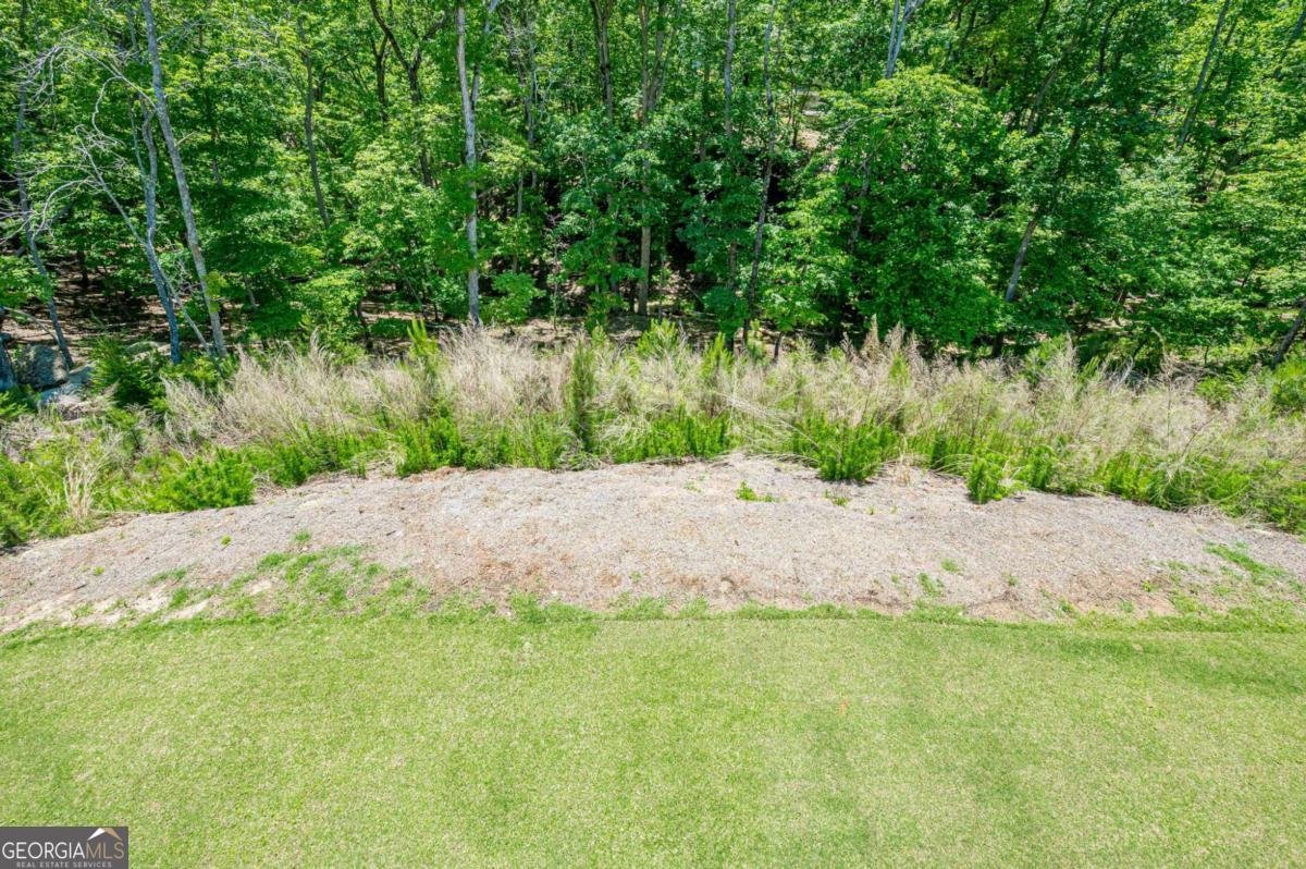 3024 Winding Ridge Waleska - Photo 34