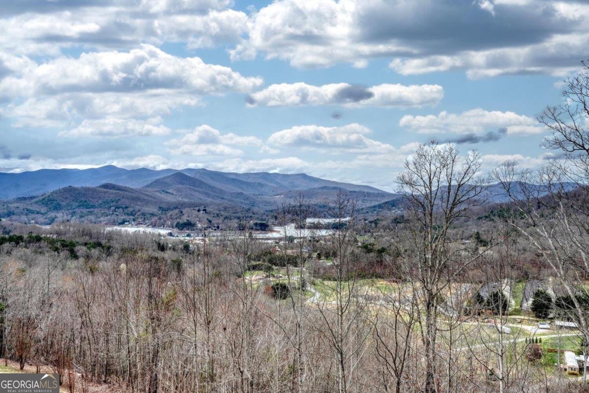 40 Teagan Way Hiawassee - Photo 43