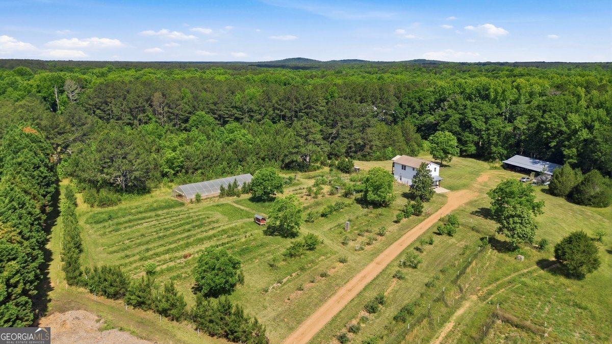 1465 Thurston Snow Road Good Hope - Photo 22
