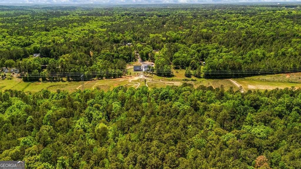 795 Hunter Road Cataula - Photo 45