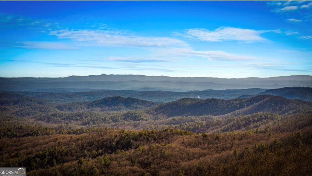 47 Pinhoti Pass Ellijay - Photo 68
