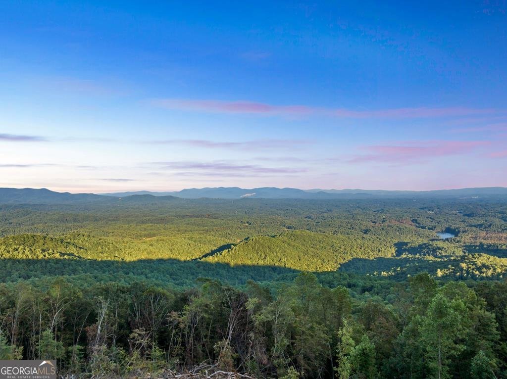 47 Pinhoti Pass Ellijay - Photo 76