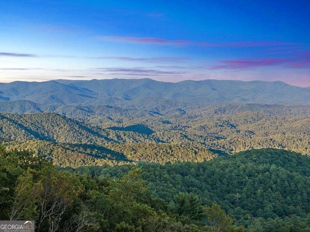 47 Pinhoti Pass Ellijay - Photo 77