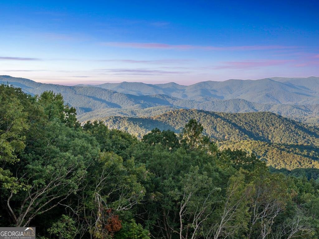 47 Pinhoti Pass Ellijay - Photo 78