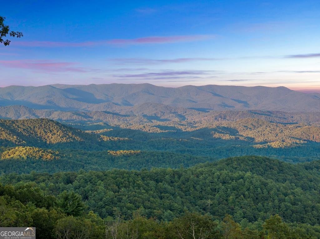 47 Pinhoti Pass Ellijay - Photo 79