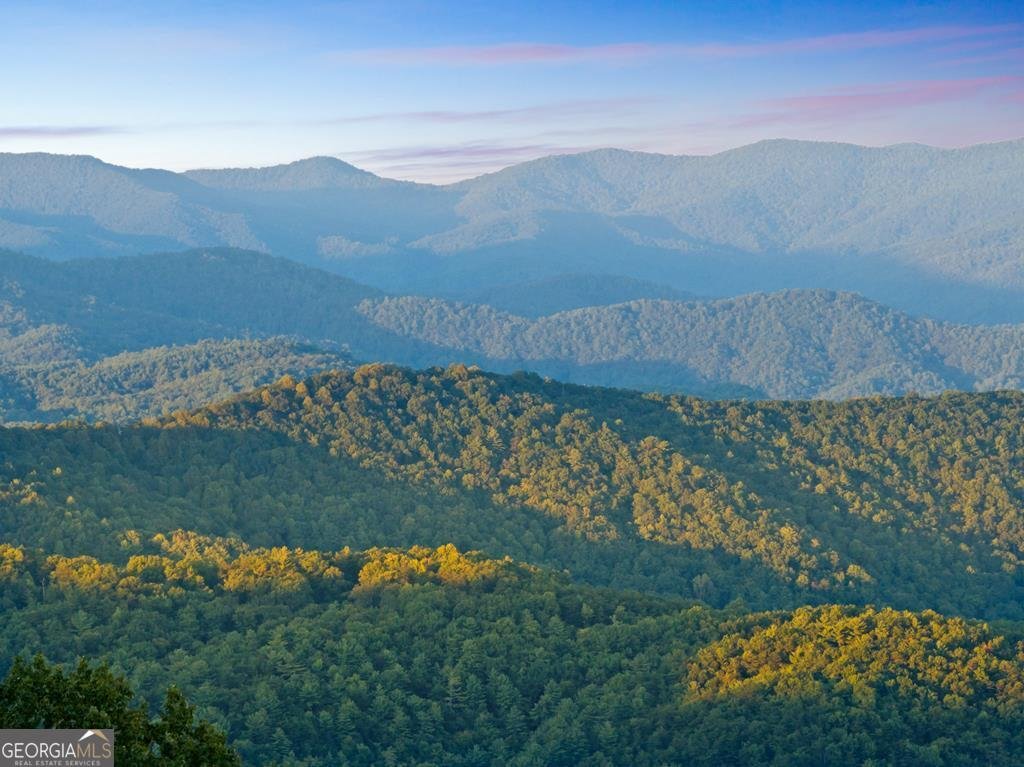 47 Pinhoti Pass Ellijay - Photo 80