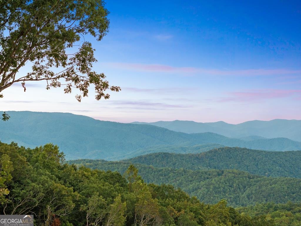 47 Pinhoti Pass Ellijay - Photo 81
