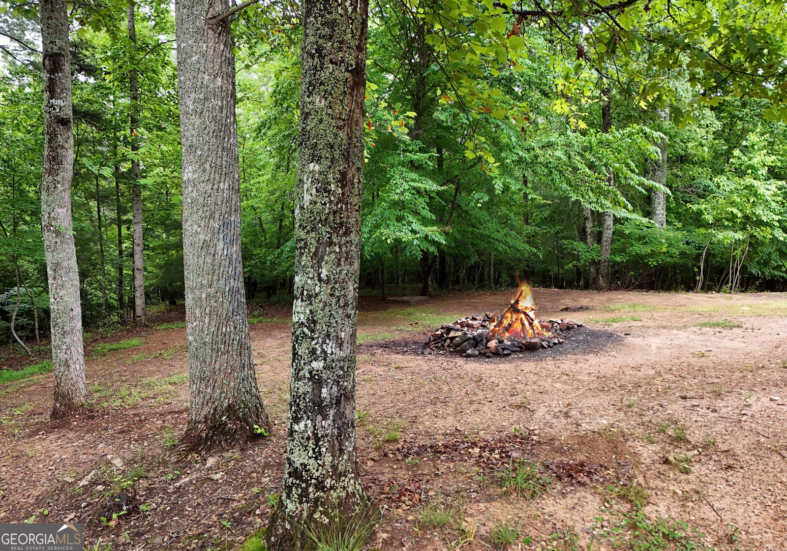 3857 Gumlog Road Young Harris - Photo 33