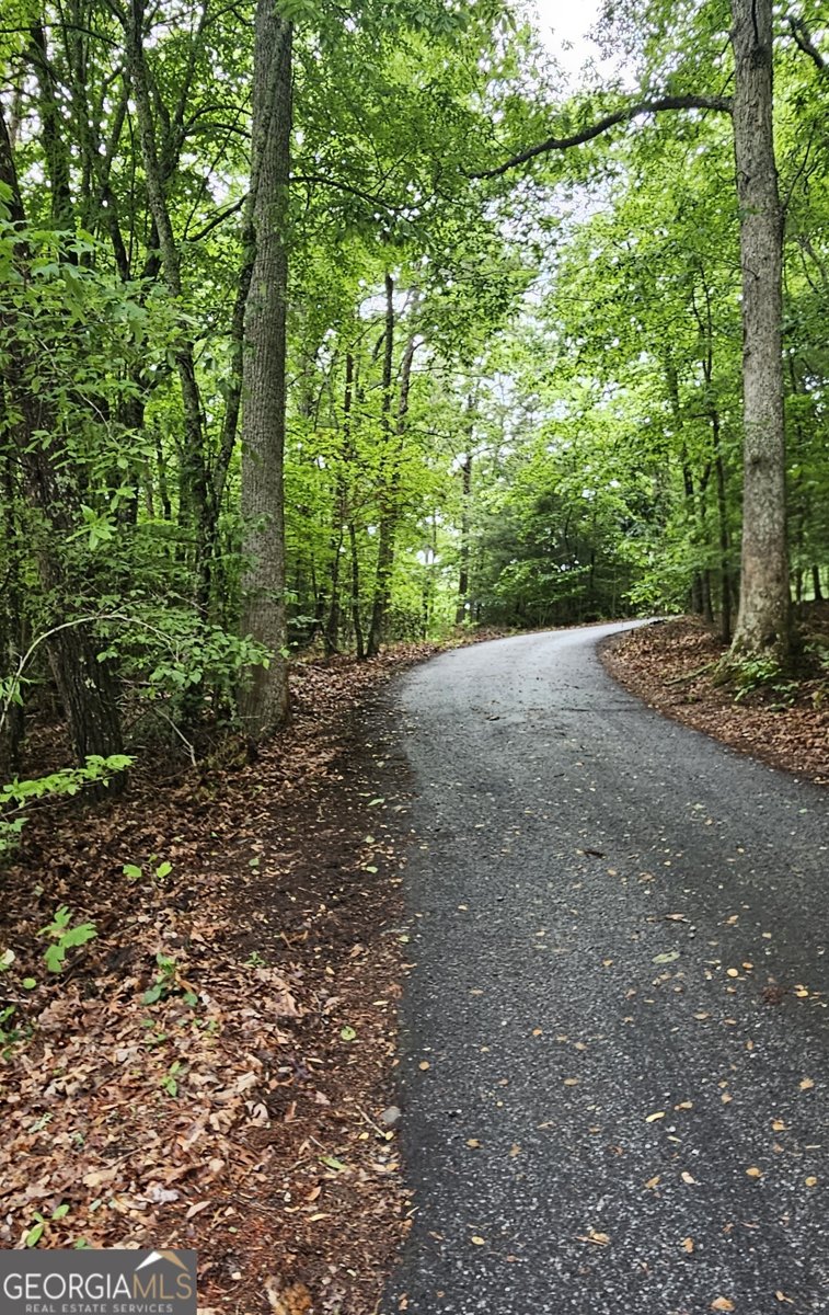 3857 Gumlog Road Young Harris - Photo 34
