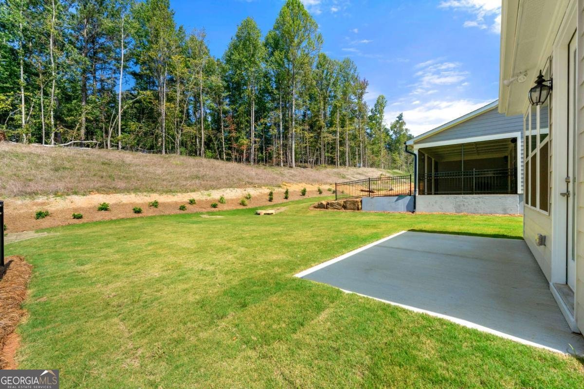 428 Geneva Way Hoschton - Photo 29