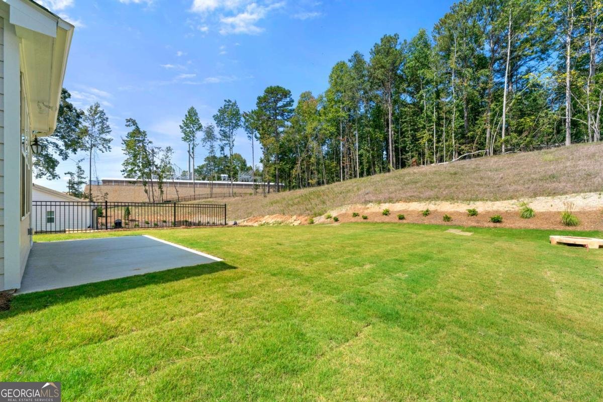 428 Geneva Way Hoschton - Photo 30