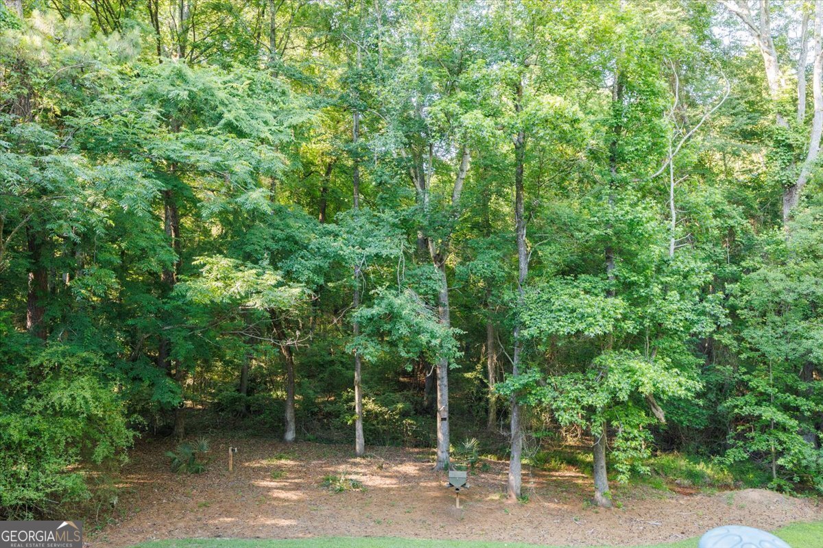15 WADLEY Station Court Macon - Photo 34