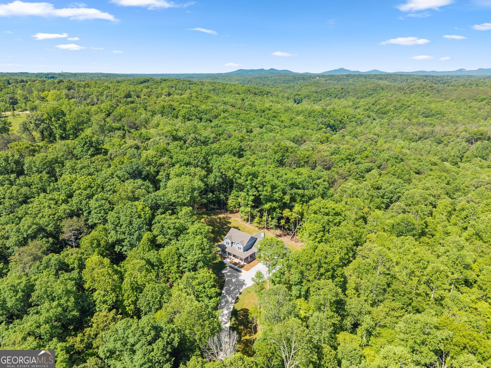 329 Twisting Ridge Trail Demorest - Photo 41