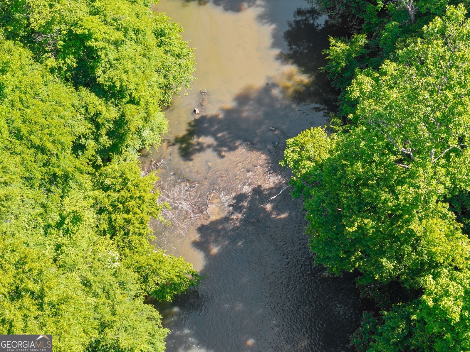 329 Twisting Ridge Trail Demorest - Photo 42