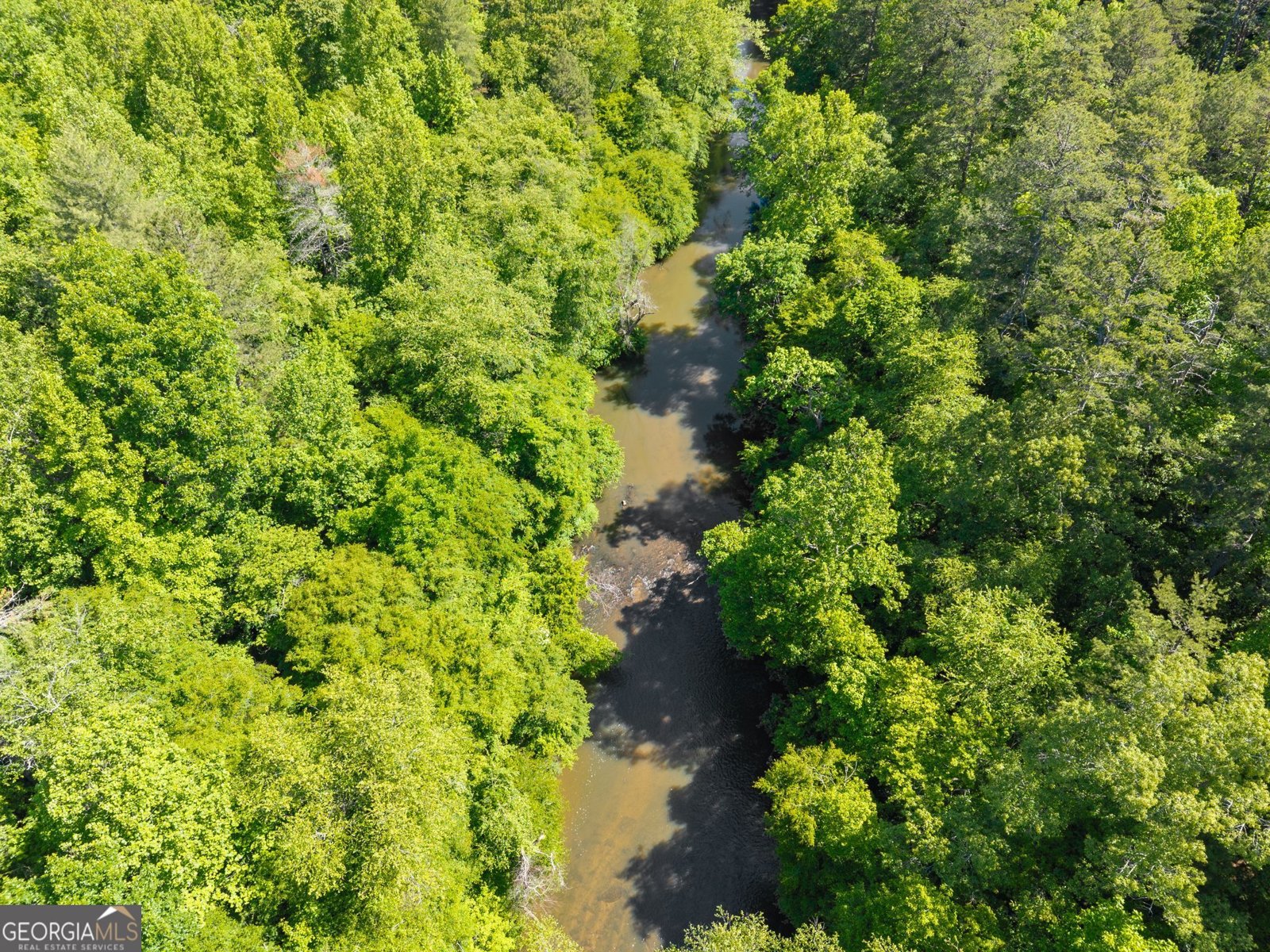 329 Twisting Ridge Trail Demorest - Photo 43