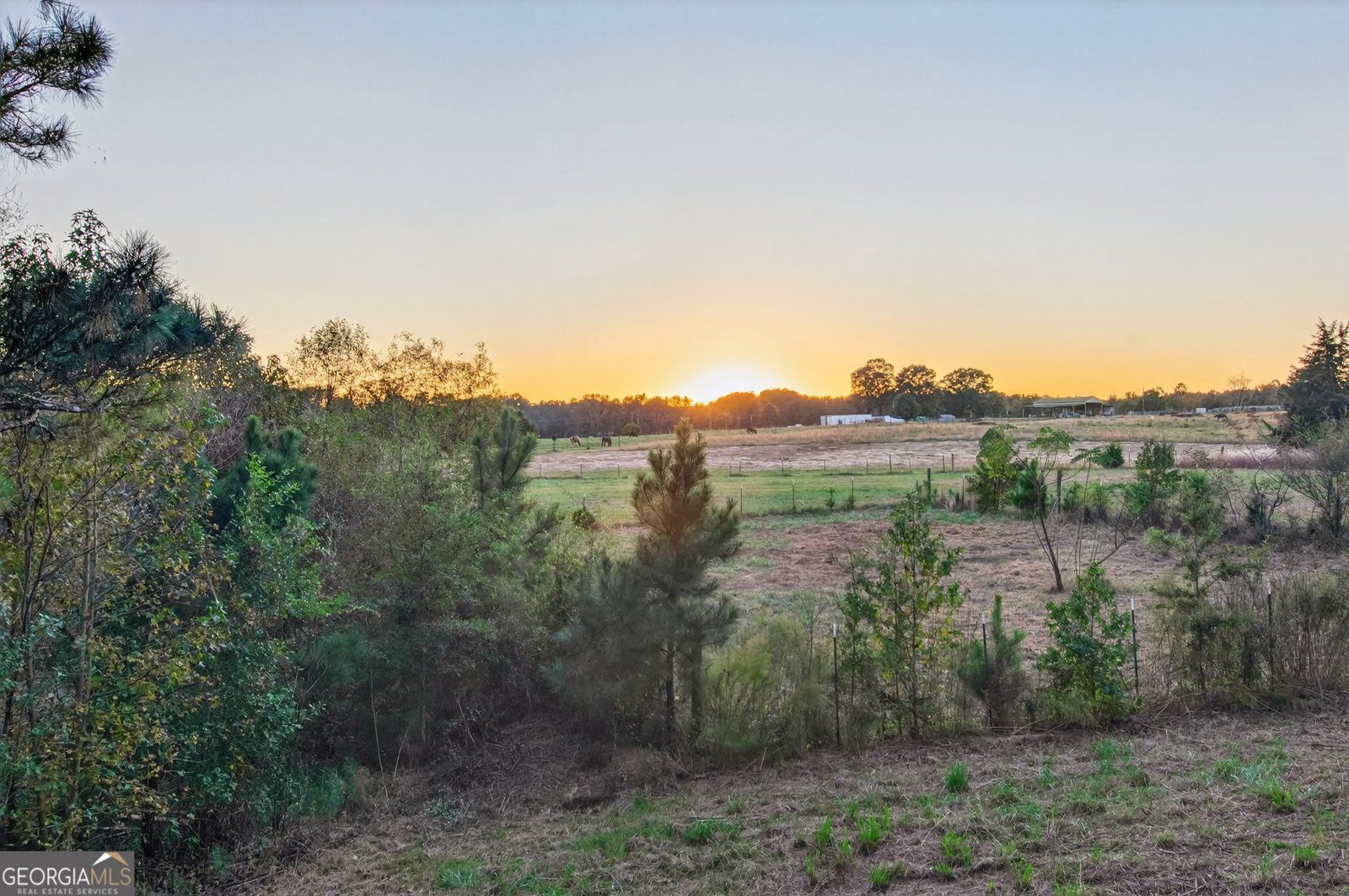 134 Mitchell Farm Road Colbert - Photo 45