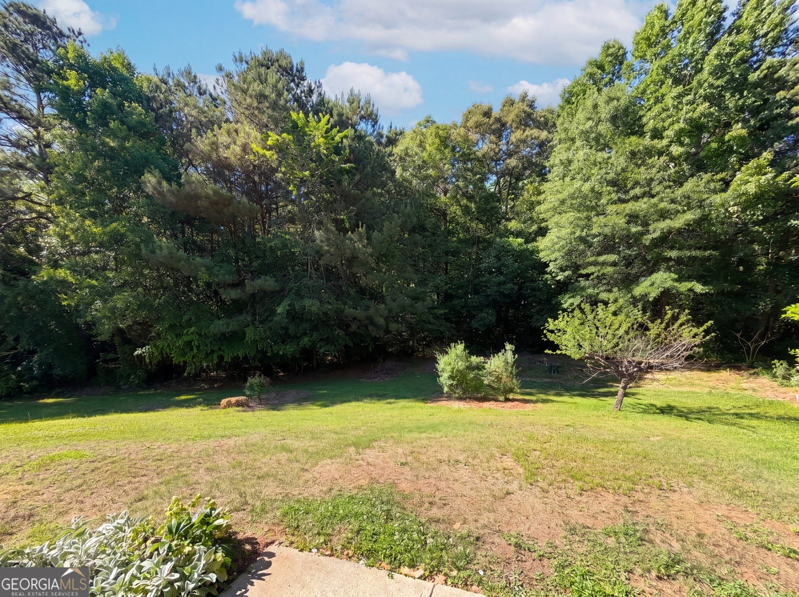 202 Bluff Court Jackson - Photo 16