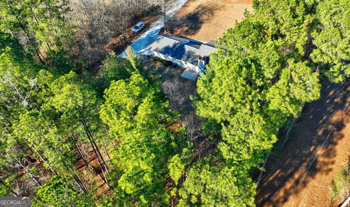546 New Hope Road McDonough - Photo 35